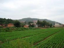 Long Fukumura