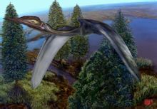Phi Plumed pterosaur Serpent