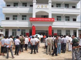 Κίτρινο Buxiang