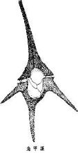 Γωνία GENUS