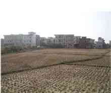 Ping Village: Meishan City, επαρχία Σιτσουάν, το χωριό στο σπίτι του Ping Renshou