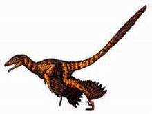 Dromaeosauridae