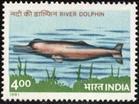 Τα Sundarbans