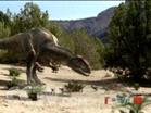 Νάνος Allosaurus