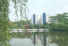 Chongqing Qinghua Γυμνάσιο