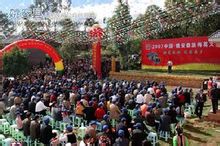 Yaoan
