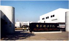 Nanjing Xiaozhuang College